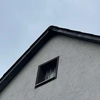 vogel.jpeg