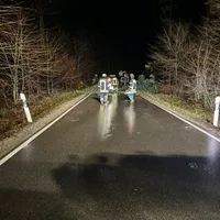 Baum auf Straße.jpeg